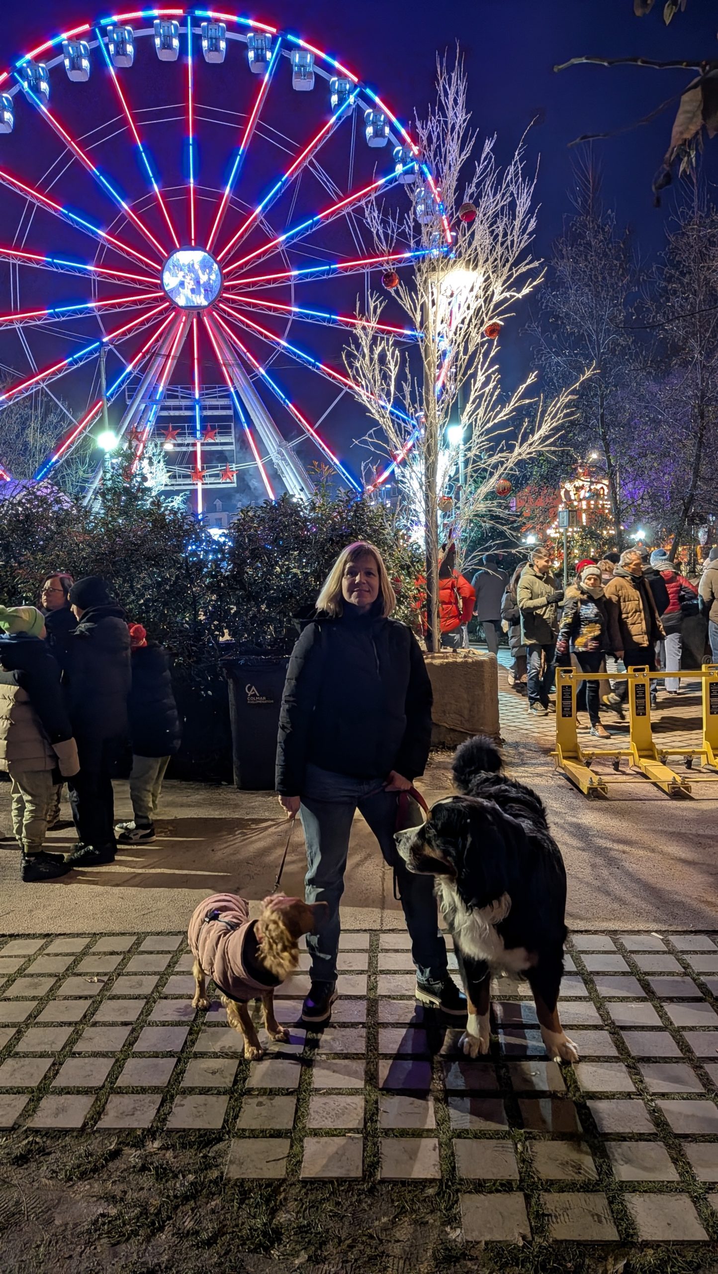 PXL 20251205 170723153.NIGHT