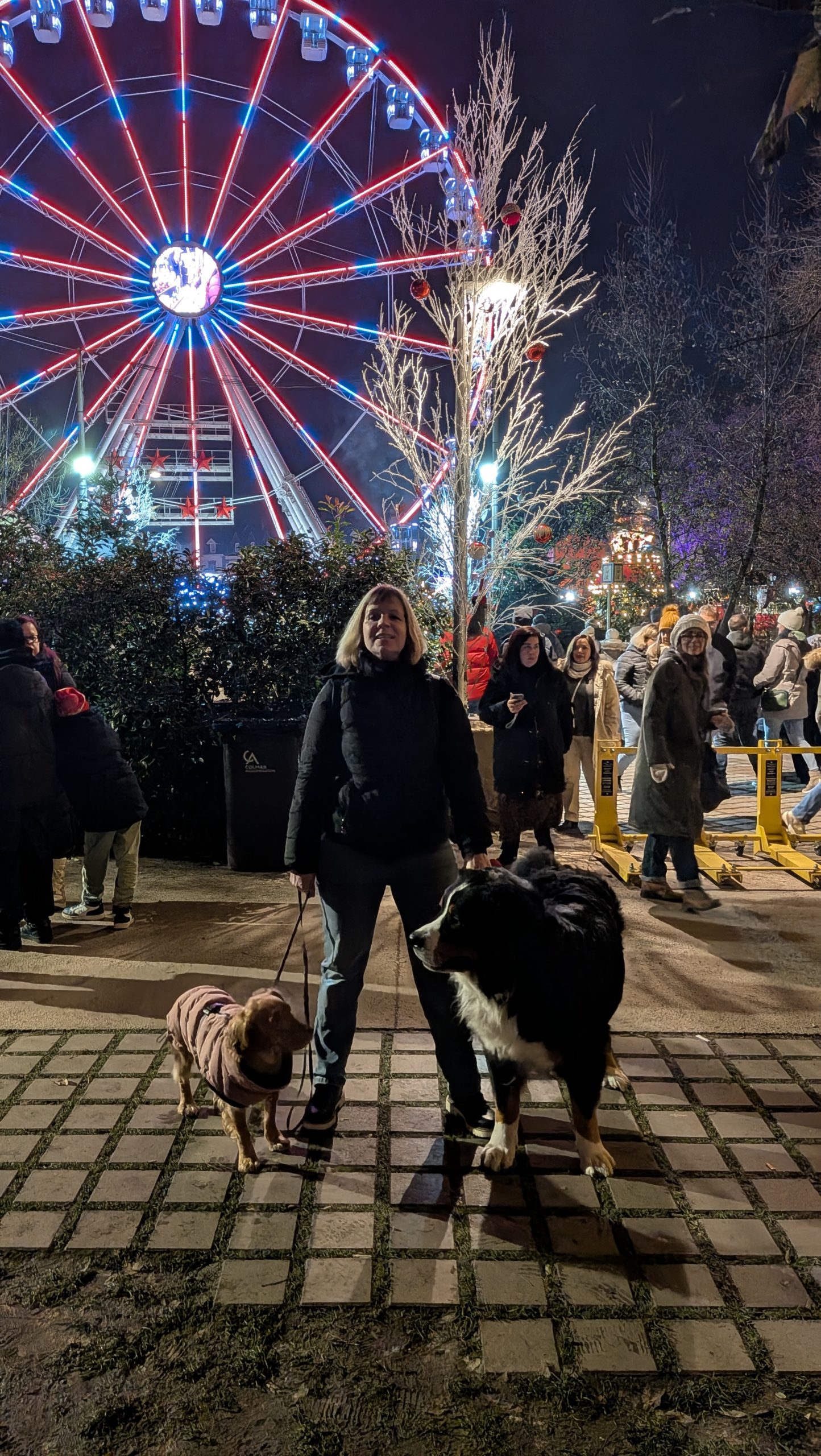 PXL 20251205 170731000.NIGHT