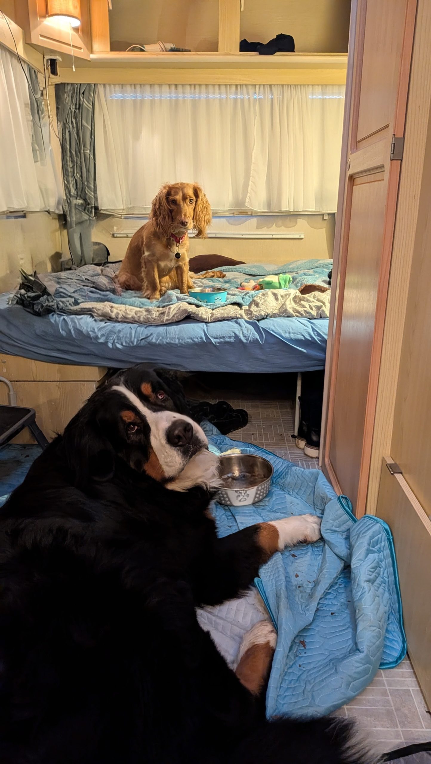 PXL 20251206 074610582~2